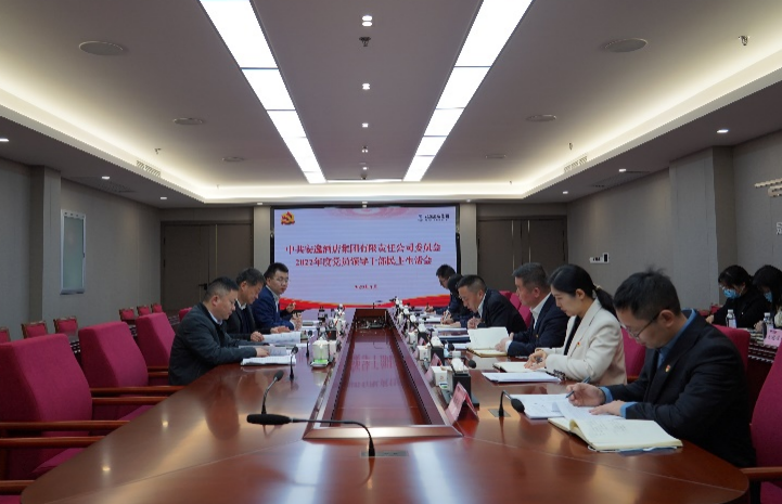 尊龙凯时集团党委书记、董事长任丁出席安逸酒店集团2022年度党员领导干部民主生活会